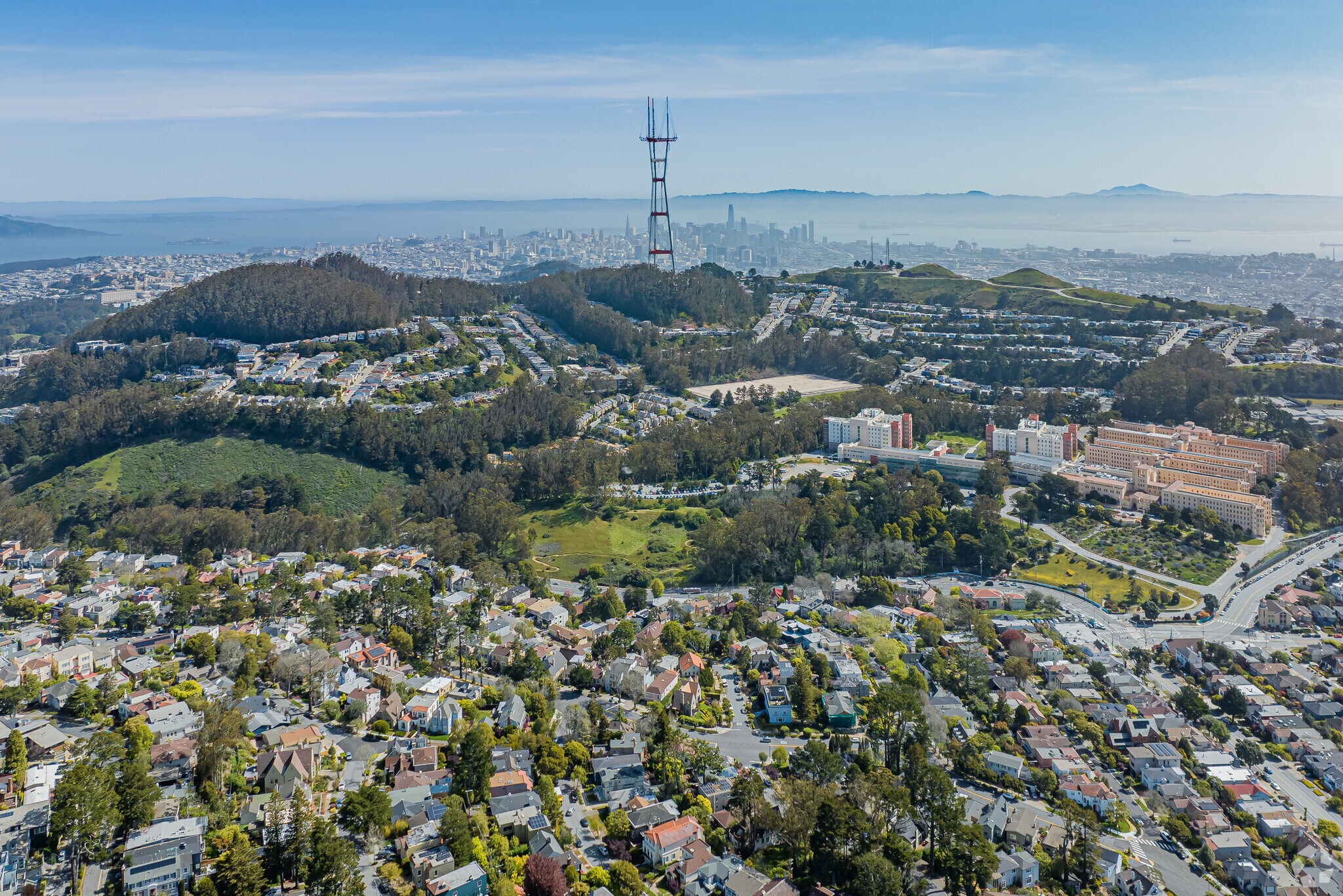 forest-hill