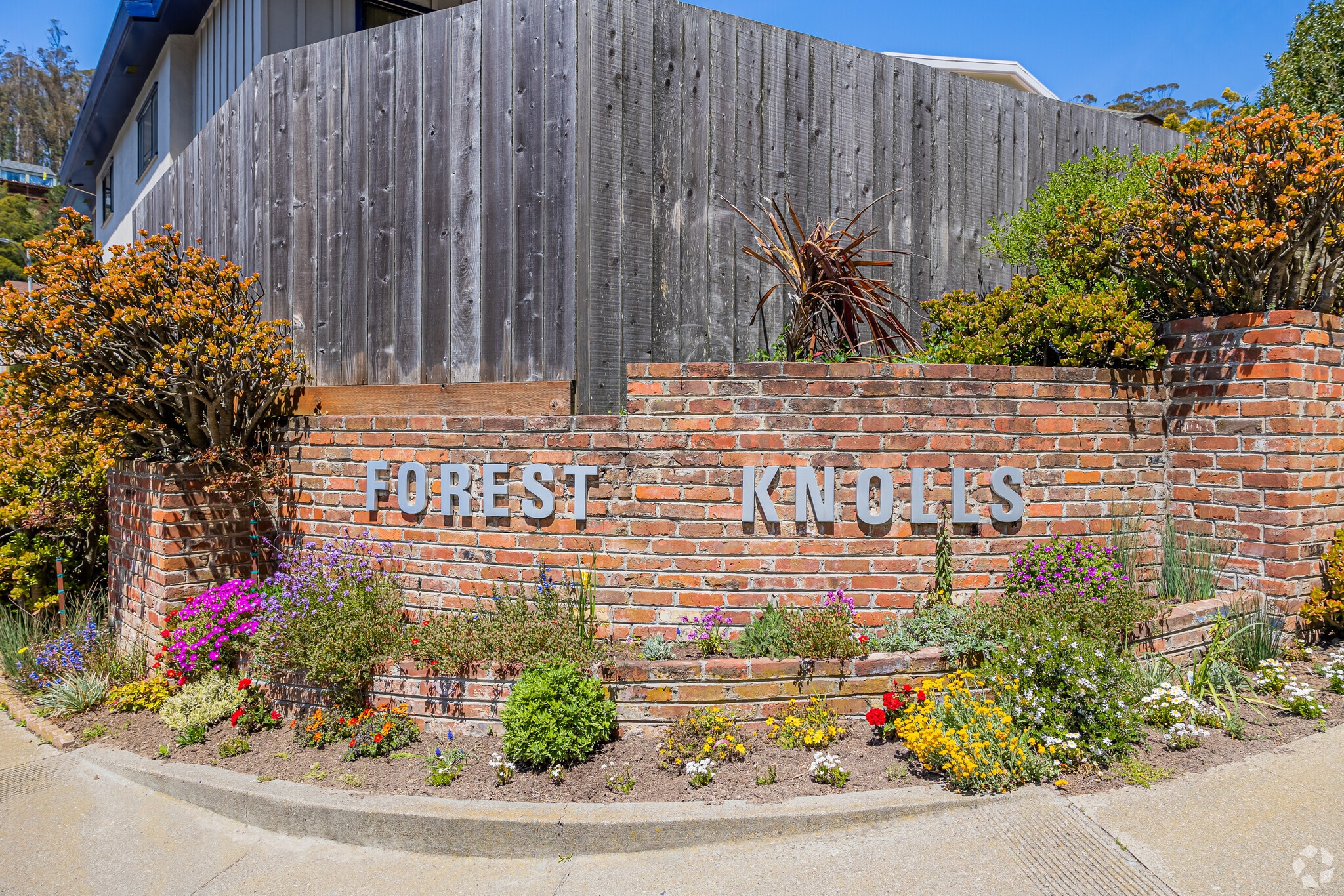 forest-knolls